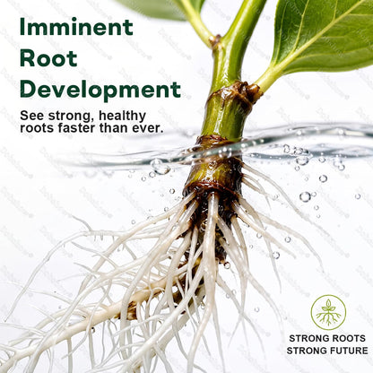🌱Healrize® Plant Fertilizer Liquid Plant Food Concentrate✨Time-Limited Discount🎉