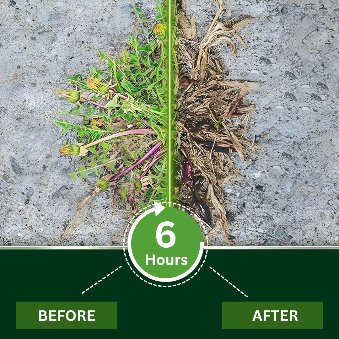🏆Official Store | Limited Edition | Cvreoz® 2 in 1 Max Power Herbicide