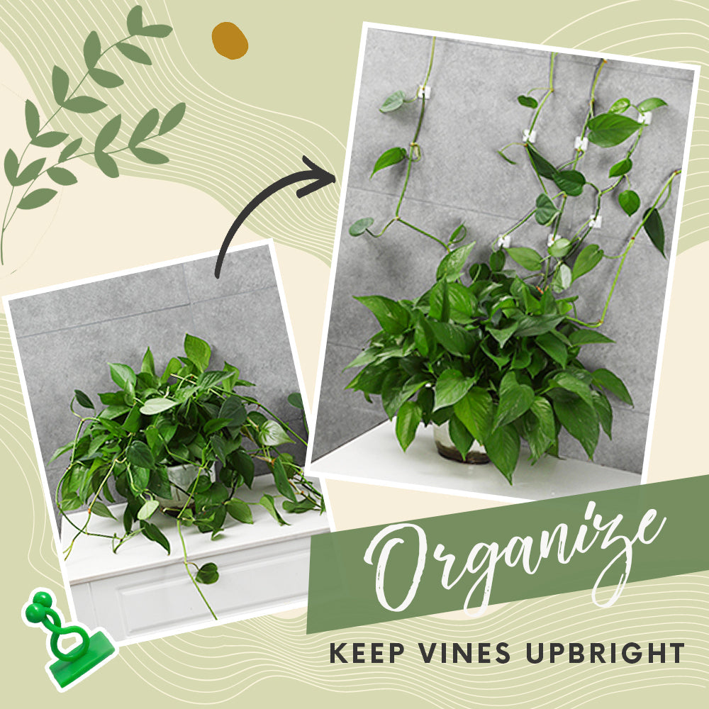 Plant Wall Climbing Fixing Clips (10PCS/50PCS)