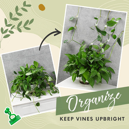 Plant Wall Climbing Fixing Clips (10PCS/50PCS)