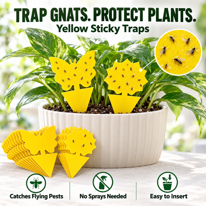 🌿 Keep Pesky Gnats Away! Indoor Plant Sticky Traps | 20–150 PCS — 🔥 40% OFF