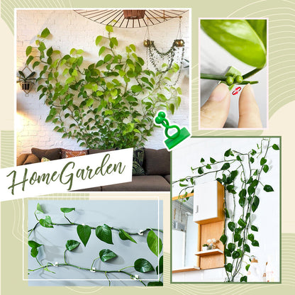 Plant Wall Climbing Fixing Clips (10PCS/50PCS)