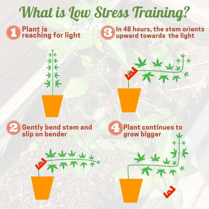 90 Degree Plant Bender for Low Stress Training