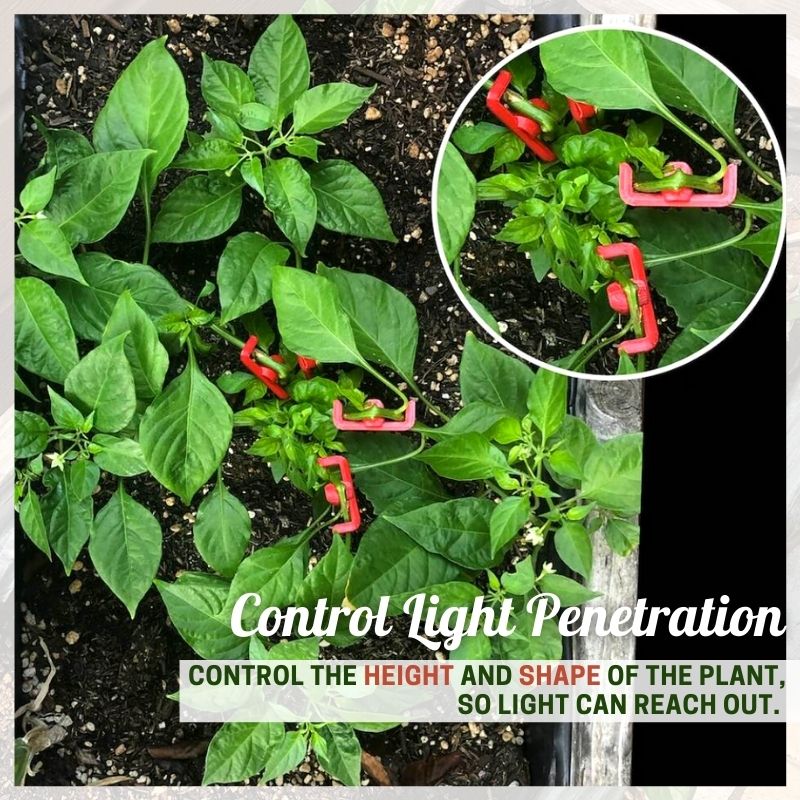 90 Degree Plant Bender for Low Stress Training