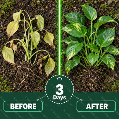 🌱Healrize® Plant Fertilizer Liquid Plant Food Concentrate✨Time-Limited Discount🎉