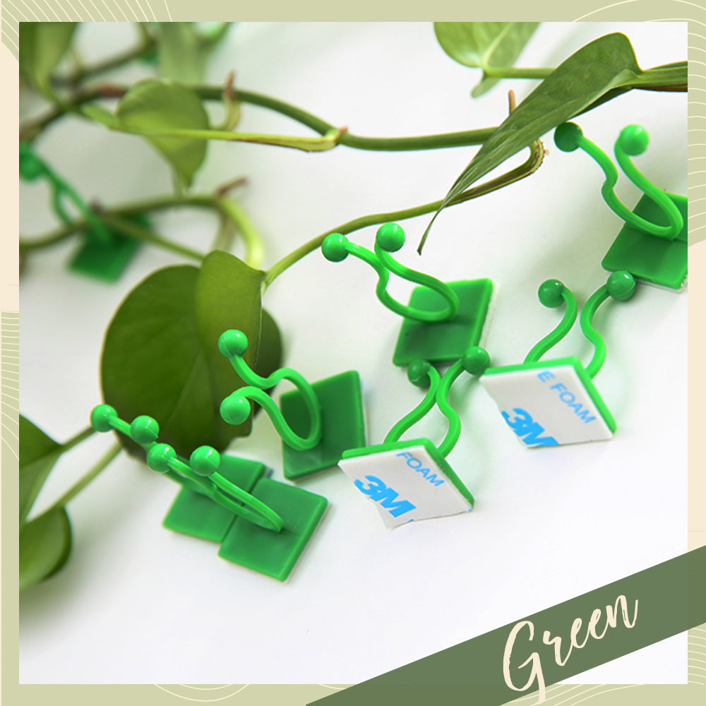 Plant Wall Climbing Fixing Clips (10PCS/50PCS)