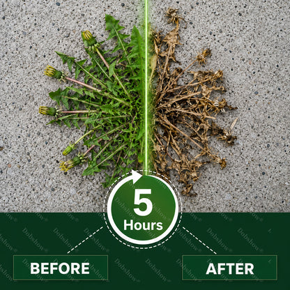Healrize® 5-Hour Max Power Dual-Action Herbicide | Fast-Acting Granules for Stubborn Weeds & Brush