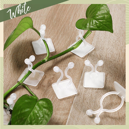Plant Wall Climbing Fixing Clips (10PCS/50PCS)