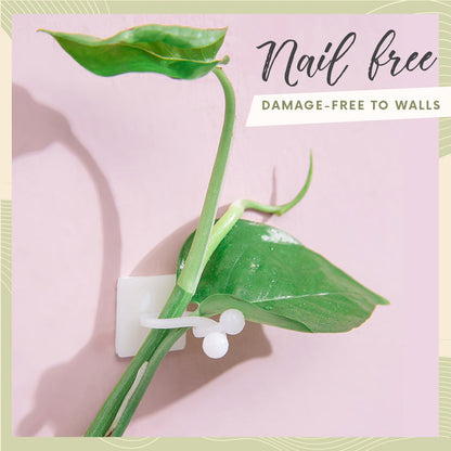 Plant Wall Climbing Fixing Clips (10PCS/50PCS)