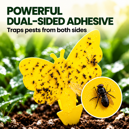 🌿 Keep Pesky Gnats Away! Indoor Plant Sticky Traps | 20–150 PCS — 🔥 40% OFF