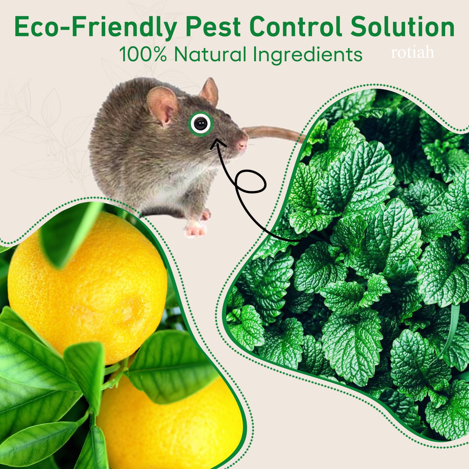 Pest Rodent Repellent, 12 Pack Peppermint Oil Repellent for Mouse Rats Spider Roach Ant Squirrel Pest Control Indoor & Outdoor, Natural Mice Deterrent Replace Trap Poisoning Family & Pet Safe Green