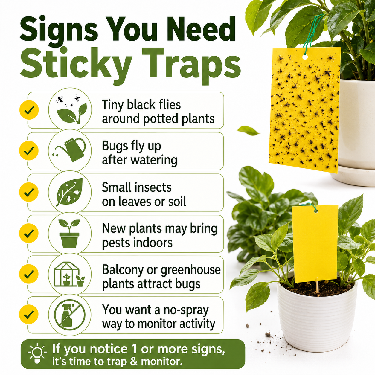 Dual Sided Yellow Sticky Traps for Flying Plant Insect Like Fungus Gnats,