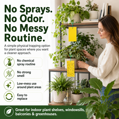 Dual Sided Yellow Sticky Traps for Flying Plant Insect Like Fungus Gnats,