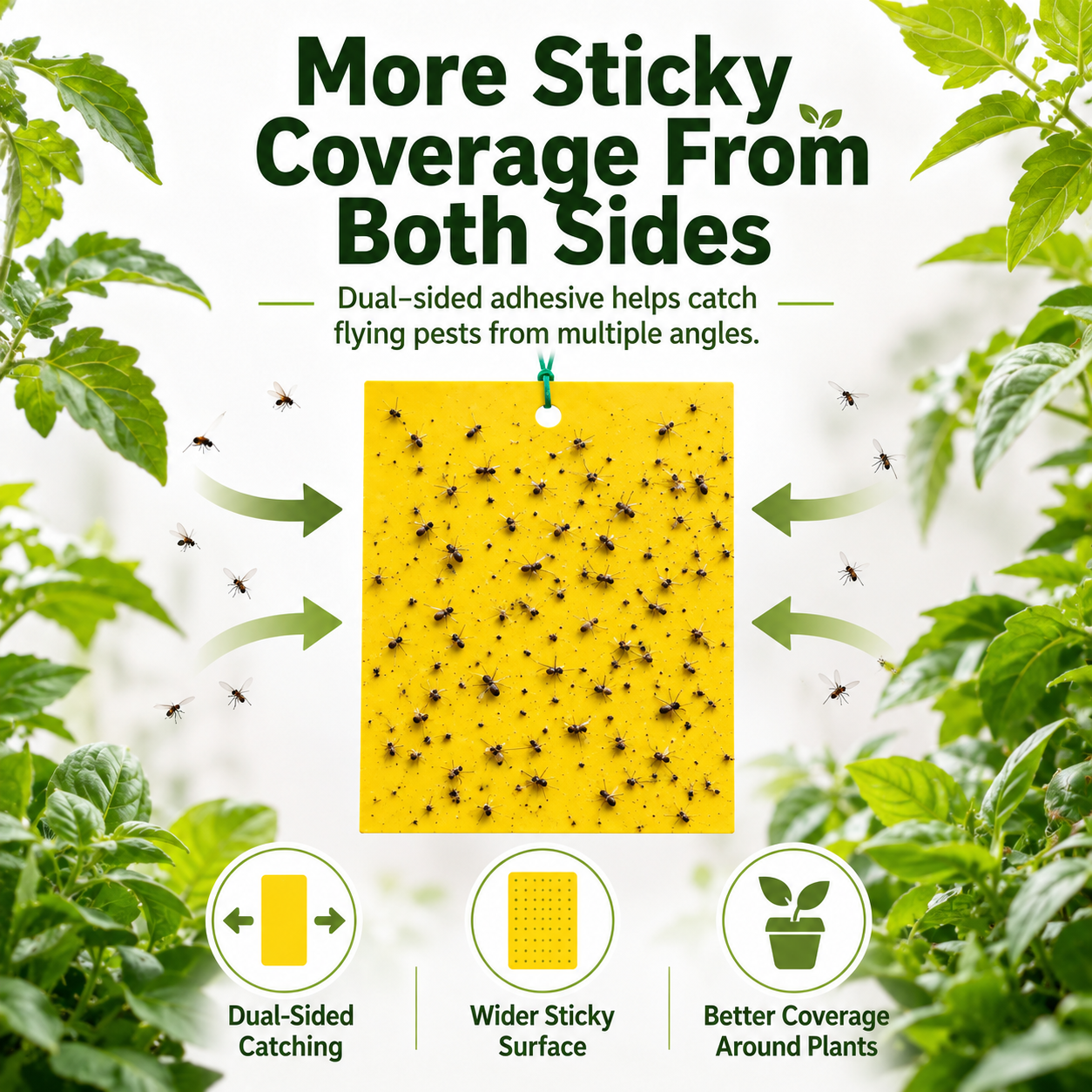Dual Sided Yellow Sticky Traps for Flying Plant Insect Like Fungus Gnats,