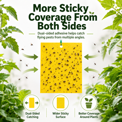 Dual Sided Yellow Sticky Traps for Flying Plant Insect Like Fungus Gnats,