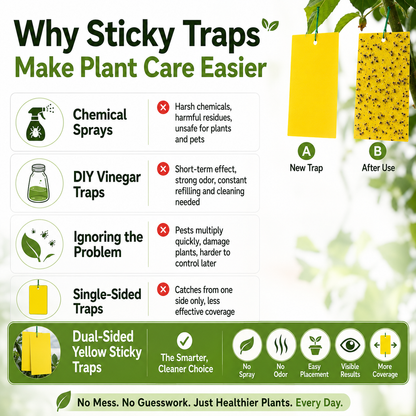 Dual Sided Yellow Sticky Traps for Flying Plant Insect Like Fungus Gnats,