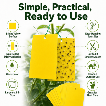 Dual Sided Yellow Sticky Traps for Flying Plant Insect Like Fungus Gnats,