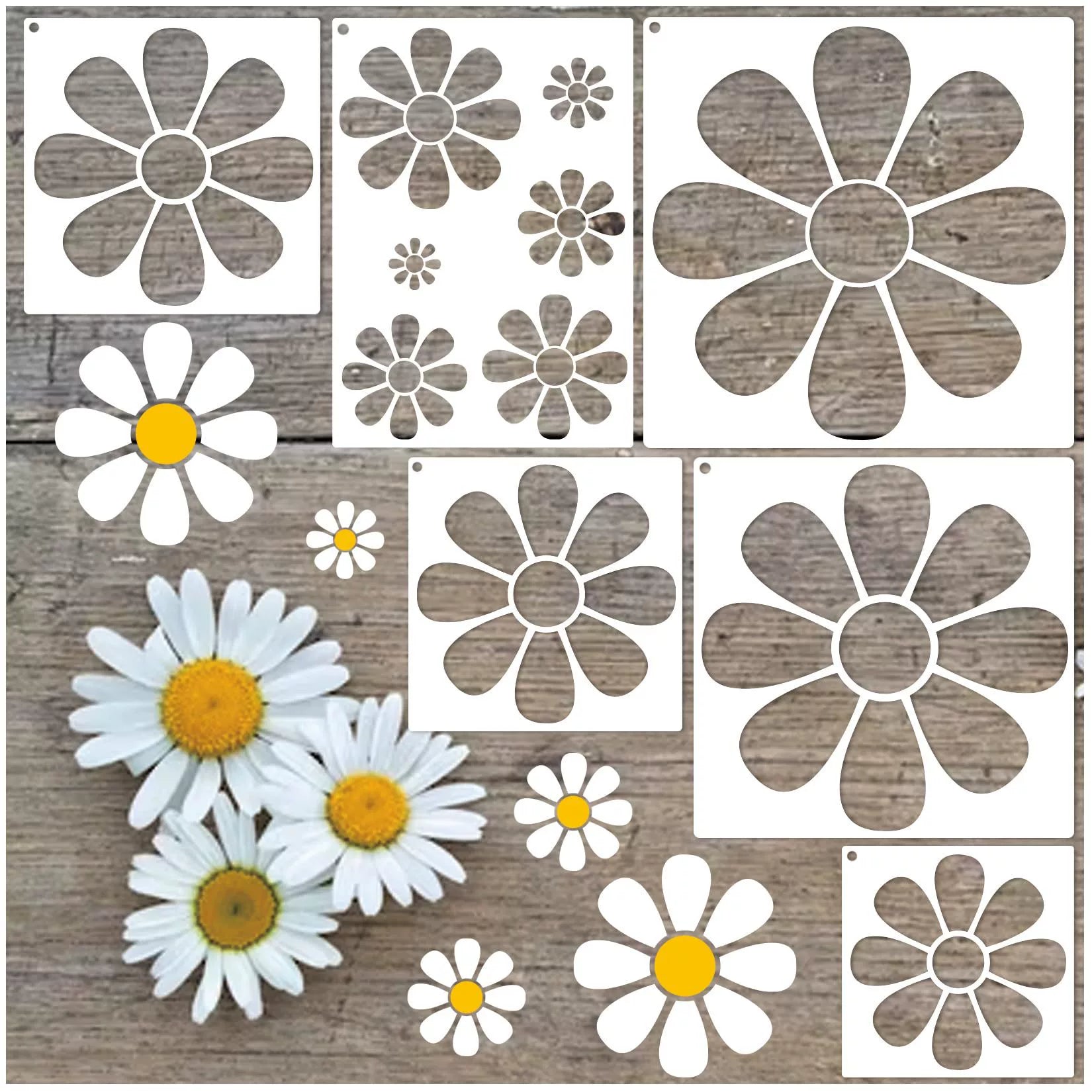 Daisy x 6pc