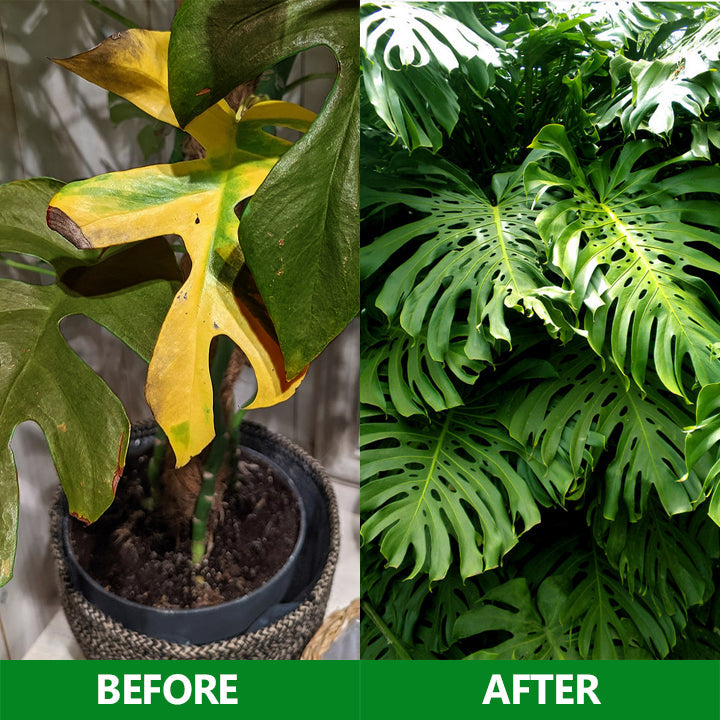 Nurbini®  Slow-Release Plant Fertilizer Sticks