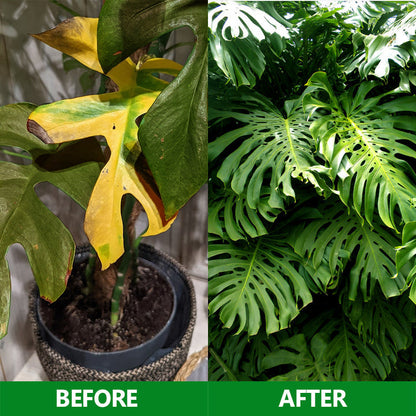 Nurbini®  Slow-Release Plant Fertilizer Sticks