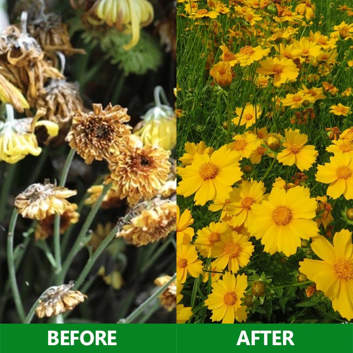 Nurbini®  Slow-Release Plant Fertilizer Sticks