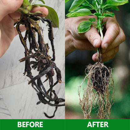 Nurbini®  Slow-Release Plant Fertilizer Sticks