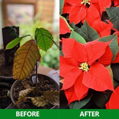 Nurbini®  Slow-Release Plant Fertilizer Sticks