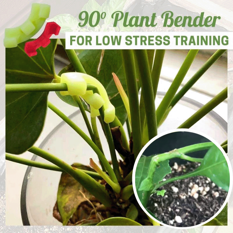 90 Degree Plant Bender for Low Stress Training