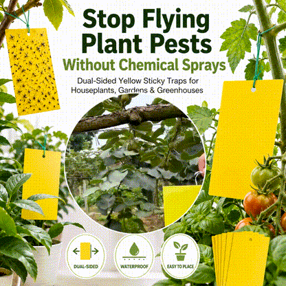 Dual Sided Yellow Sticky Traps for Flying Plant Insect Like Fungus Gnats,