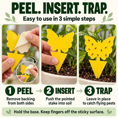 🌿 Keep Pesky Gnats Away! Indoor Plant Sticky Traps | 20–150 PCS — 🔥 40% OFF